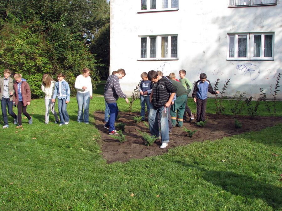 Aby było czysto i zielono...