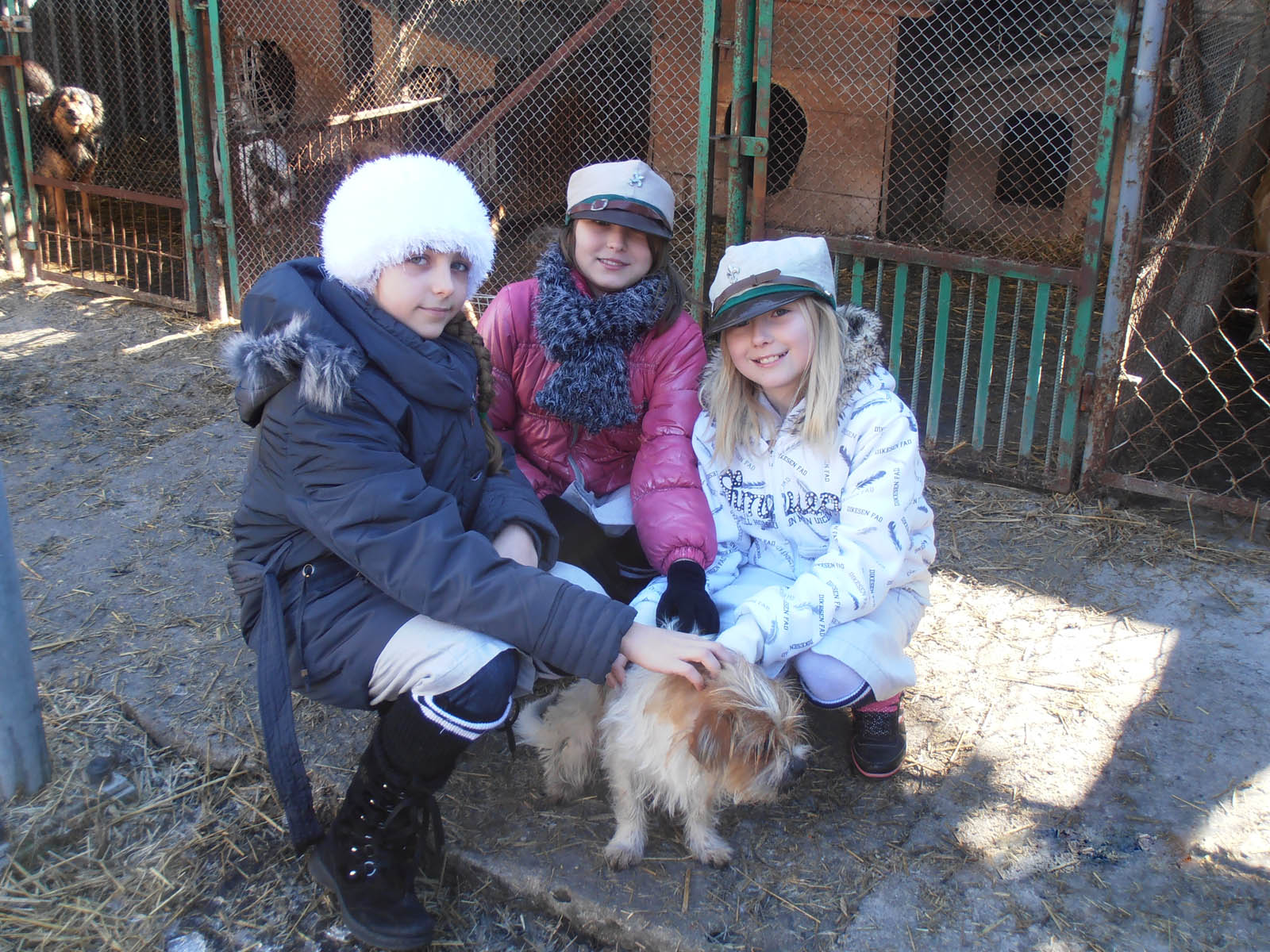 Z pomocą czworonożnym przyjaciołom.