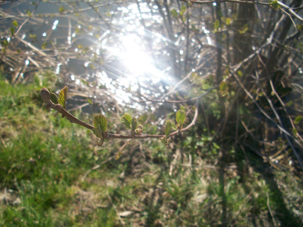 Konkurs foto rozstrzygnięty.